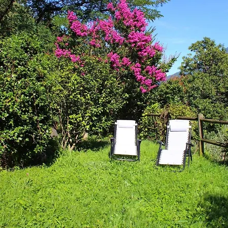 Holiday home Rustico Ulivi - In Bucht Piona Colico